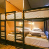 Отель Honeycomb Hostel, фото 8