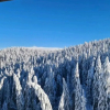 Отель Apartman 601 Kopaonik Centar, фото 13