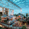 Отель Gaylord Palms Resort & Convention Center, фото 37