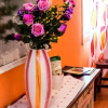 Отель Hostal Salud, фото 8