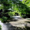 Отель Rajapruek Place (SHA Extra Plus), фото 12