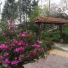 Отель Sapa Garden Bed and Breakfast, фото 47