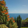Отель Lovingly restored old villa, heated pool, garden, sea views | Quinta Girassol, фото 19