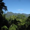 Отель Mossman Gorge Bed and Breakfast, фото 15