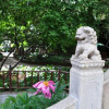 Отель Mountain Villa Hotel, фото 17