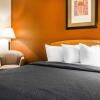 Отель Quality Inn & Suites, фото 29