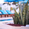 Отель Turkuaz Beach Hotel, фото 18