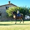 Отель Casa Rural Yeguada Jimenez Latorre, фото 44