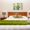 Отель Picton Accommodation Gateway Motel, фото 4