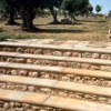 Отель la vecchia torre 2022, фото 10