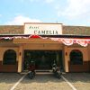Отель Camelia Hotel, фото 1