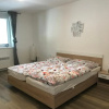 Отель Apartman Plovarna, фото 2