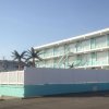 Отель Island Breeze Motel в Пляже Вайлдвуд