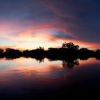 Отель Taranga Safari Lodge, фото 26