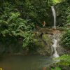 Отель El Remanso Rainforest Lodge, фото 35