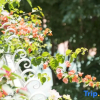 Отель Oasis Courtyard Homestay (Chaozhou Ancient City Paifang Street), фото 17