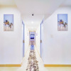 Отель Malecon Rooms & Hotel, фото 38