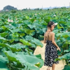 Отель Tam Coc Craft Homestay, фото 20