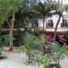 Отель Jungle Chic Villa in Chemuyil, фото 26