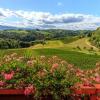 Отель Farm Stay Jarc Vineyard, фото 18