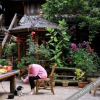 Отель Lijiang Shu He Shangshanruoshui Inn, фото 11