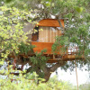 Отель Leopard Nest - Glamping in Yala, фото 22