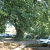 Отель Caladdi Bed and Breakfast, фото 4