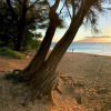Отель Private Kaanapali Cottage / Walk To The Beach/Serene Gardens cottage, фото 21