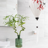 Отель Home2Book Design Asian Sabina, Heated Pool & View, фото 41
