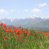 Отель Holiday You Shikinosato, фото 30