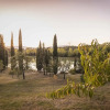 Отель Villa Sant'Anna Toscana, фото 17