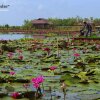 Отель Ban Suan Keaw Resort, фото 9