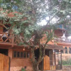Отель Pousada Anjos Astrais, фото 18