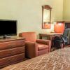 Отель Quality Inn & Suites Ann Arbor Hwy 23, фото 23