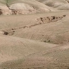 Отель Canyon Lodge, фото 15