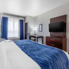 Отель Comfort Inn & Suites Oklahoma City South I-35, фото 7