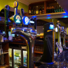 Отель Heathrow Inn, фото 16