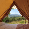 Отель Glamping at an Agriturismo in the Vineyard, фото 9