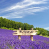 Отель Furano Fresh Powder Apartments and Chalet, фото 19