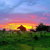 Отель Le Papayer Ecolodge, фото 24