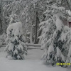 Отель Aaria Bed and Breakfast, фото 10