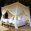 Отель Nambiti Plains Private Game Lodge, фото 13