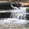 Отель Wayanad Royal Stream, фото 17