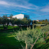 Отель Martincic Residence, фото 20