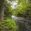 Отель Mersey River Chalets, фото 4