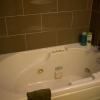 Отель A Wildflower Inn Bed & Breakfast, фото 8
