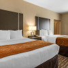 Отель Comfort Suites Near Sam Houston Race Park, фото 5