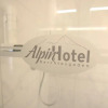 Отель Alpinhotel Berchtesgaden, фото 8