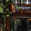 Отель Bedgasm Hostel, фото 1