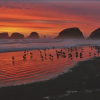 Отель Lodges at Cannon Beach, фото 17